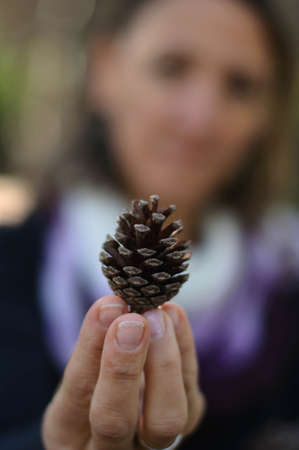 one fir cone in women's hands close up