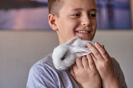 a boy with a white rabbit in his handsの写真素材