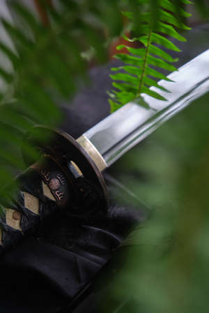 traditional Japanese katana sword among the green leavesの写真素材