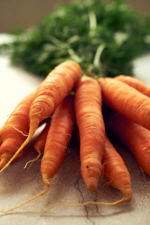 bunch of clean young carrots with tops