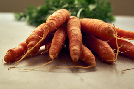 bunch of clean young carrots with topsの写真素材