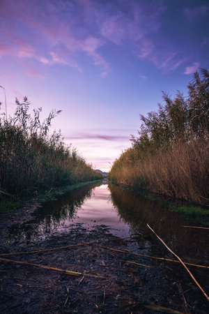 pink clouds in the sunset sky landscapeの写真素材