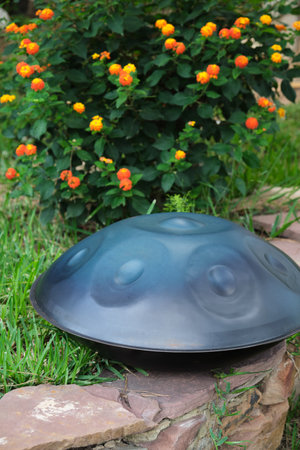 handpan or hang in the garden