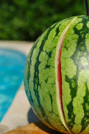 green watermelon against the swiming poolの写真素材