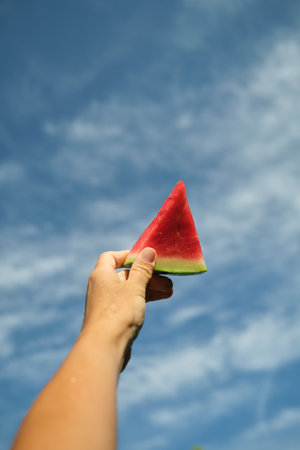 A piece of watermelon in the hand on a blue backgroundの写真素材