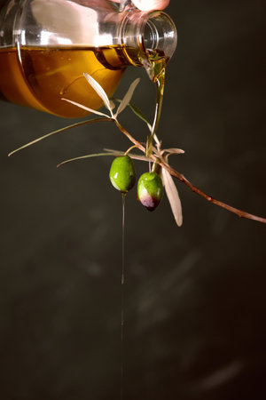 a couple of olives on a branchの写真素材