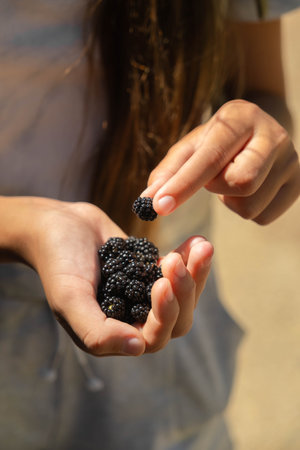 The girl has wild ripe blackberries in her handsの写真素材