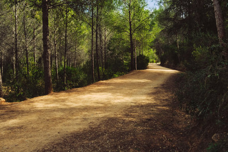 a deserted path in the mountainsの写真素材