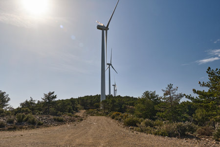 Wind turbine group in Spain