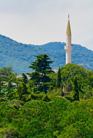 Mountain landscape. Summer, green trees and mountainsの写真素材