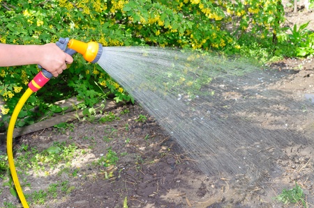 Watering the garden with a hose with a sprayの写真素材