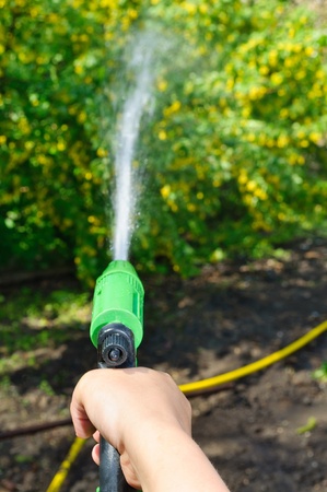 Watering the garden with a hose with a sprayの写真素材