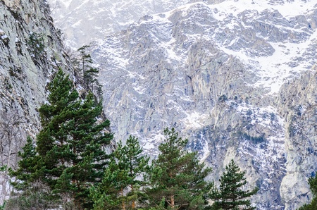 Snow-covered mountains  Stock Photo of mountain scenery
