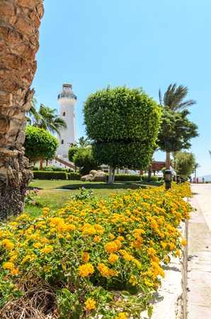 The resort in Egypt. Stock Photoの写真素材