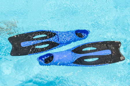 Flippers in the pool. Photo for microstock