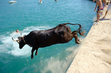 Bull party  Celebrations in honor of Our Lady of Loreto 