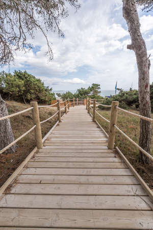 Beach way to Salinas beach in Ibiza Balearic islandsの写真素材