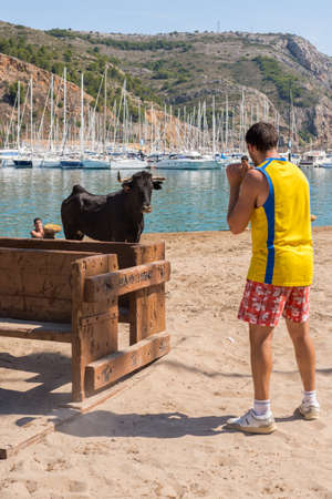 JAVEA, SPAIN - SEPTEMBER 2  A heifer in front of one  guy during the festivity  Nuestra Seora de Loreto  on September 2, 2013 in Javea, Spain のeditorial素材