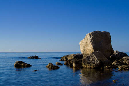 Seaside with rocks and birds in warm, clear weatherの写真素材