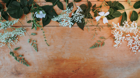 Flower wallpaper, aesthetic HD nature backgroundの写真素材