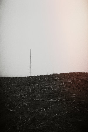 Barren field landscape in black and whiteの写真素材