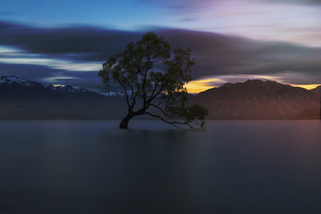 Tree in the lake surrounded by mountainsの写真素材