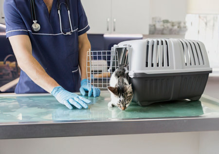 a veterinarian wearing blue scrubs and gloves is standing next to a green examination table where a cat is exiting a black and white pet carrier the cat is predominantly black and white with some brown markings the veterinarian is wearing a stethoscope around their neck and the background is a blurry veterinary clinic