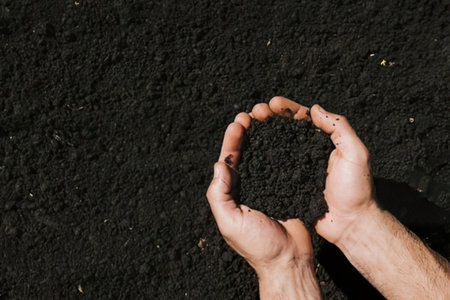 a pair of hands cupped together holding a small amount of dark brown soil with the palms facing upwards and the fingers curled around the soil
