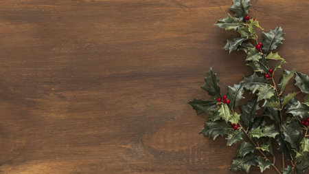 The image features a dark brown wooden surface that occupies most of the frame. On the right side, a small bunch of holly leaves and red berries is placed. The holly has dark green leaves with lighter green and white variegation. The wooden surface fills the top portion of the image, while the bottom is white and empty.