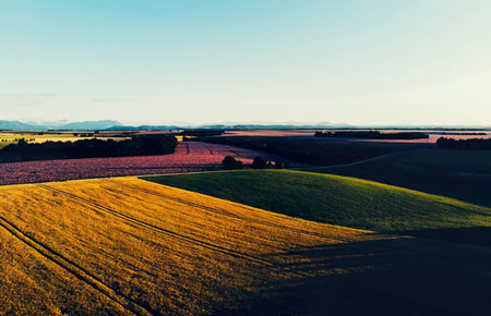 Aerial view of agricultural fields at sunset. Beautiful summer landscape.