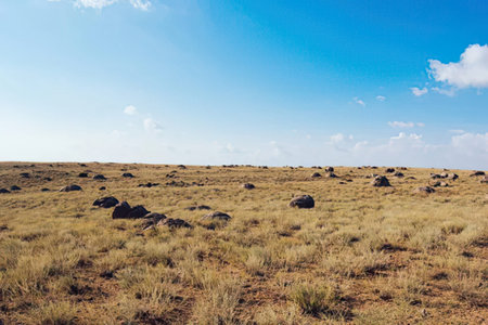 Landscape of savannah with dry grass and blue sky, Namibia
