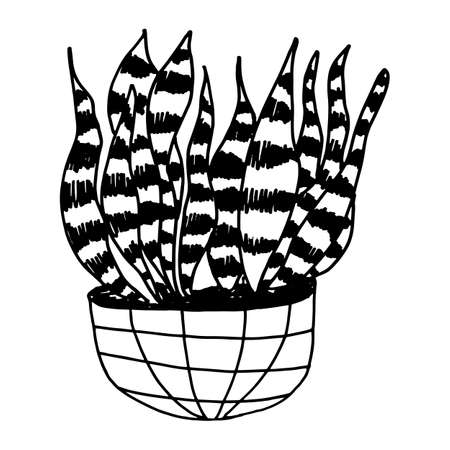 Houseplants in a pot vector illustration isolatedのイラスト素材