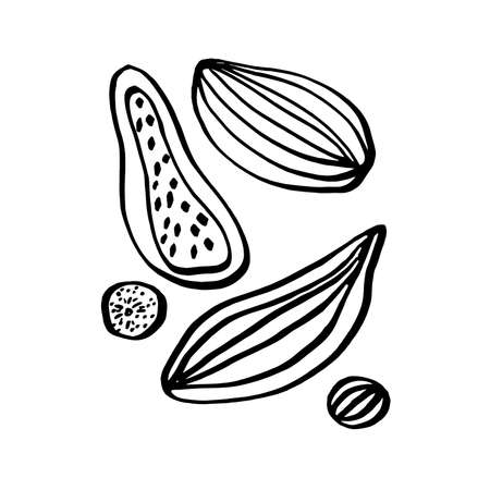 tropical fruits whole and cut vector isolated set diet vitamin backgroundのイラスト素材