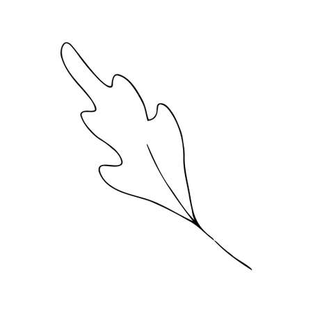 vector branch with leaves black and white. Minimalistic botanical illustration, hand drawingのイラスト素材
