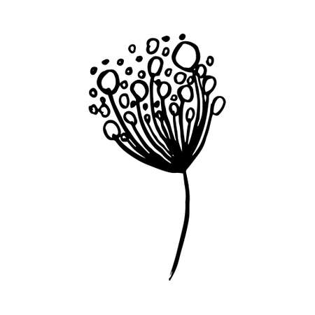vector branch with leaves black and white. Minimalistic botanical illustration, hand drawingのイラスト素材
