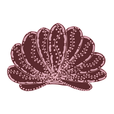 seashell sea vector isolated hand drawing sketch pink
