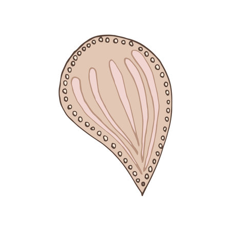 seashell sea vector isolated hand drawing sketch beigeのイラスト素材
