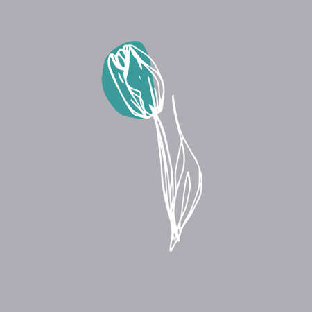 botanical floristic contour flower peonies open buds. Vector isolated minimalistic flower white gray greenのイラスト素材
