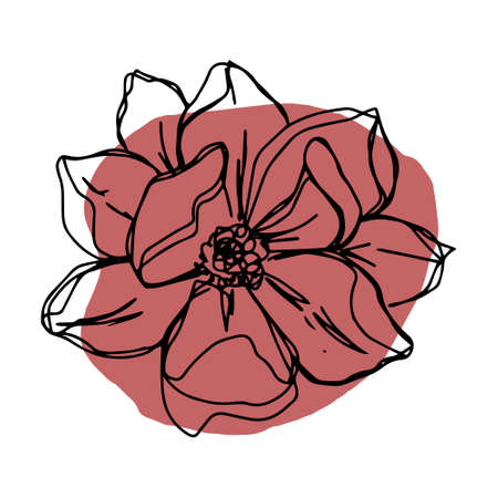 botanical floristic contour flower peonies, poppies tulips open buds and closed. Vector isolated minimalistic terracotta flowerのイラスト素材