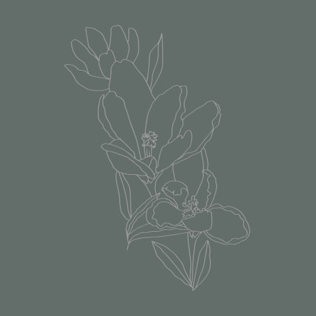 crocuses line art buds flowers with leaves 3 pieces black and white vector botanical illustration hand drawing sketchのイラスト素材