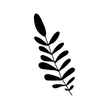 vector branch with leaves black and white. Minimalistic botanical illustration, hand drawingのイラスト素材