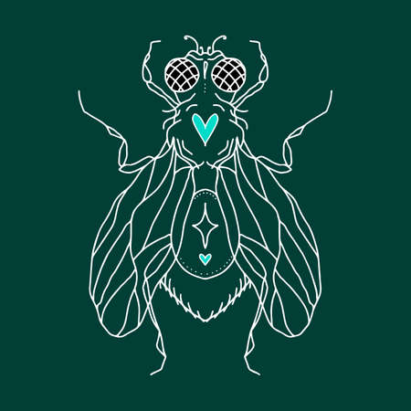 fly silhouette with hearts, eyes, wings, paws, dots and a star. Vector isolated hand drawing insectのイラスト素材