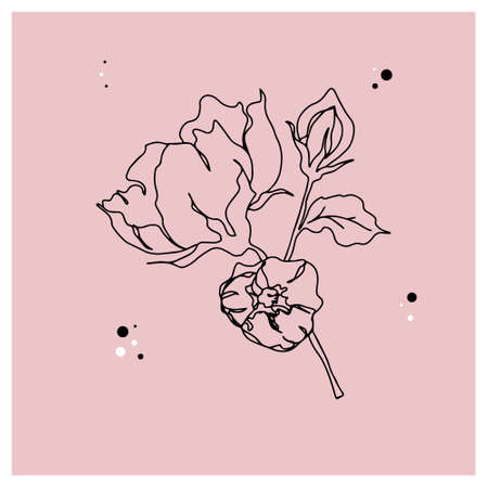 flower branch with leaves and unopened bud isolated vector backgroundのイラスト素材