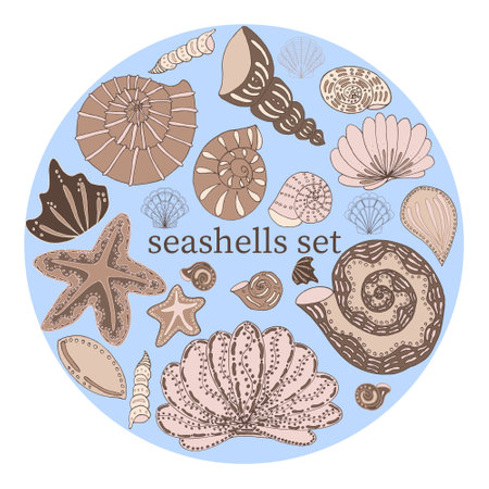 Vector set of seashells isolated in different sizesのイラスト素材