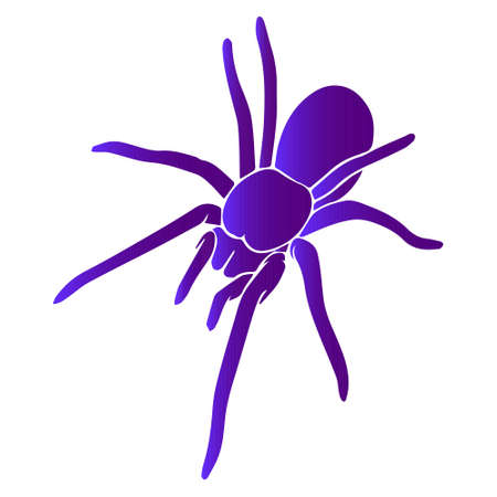 spider folk with ornament mystical insect for halloween isolated vector hand drawnのイラスト素材