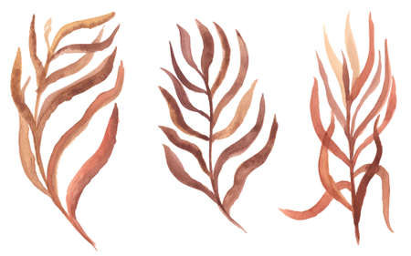 watercolor twigs with leaves of different colors vector isolated elements.のイラスト素材