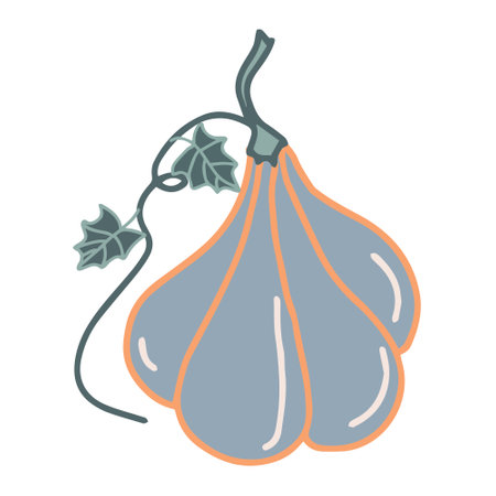 pumpkin vegetable vector hand drawn illustration seasonal autumn harvestのイラスト素材