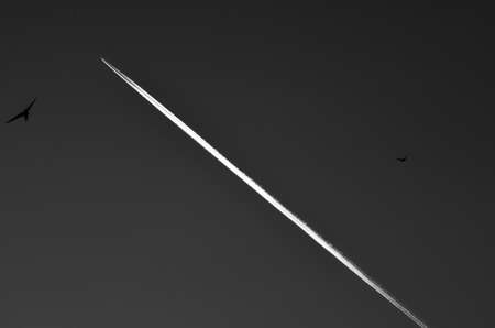 A jet plane flying high in the skyの写真素材