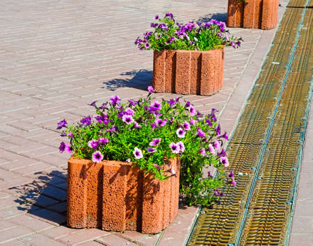 Beautiful street decorated with flowers in Ukraine, Kyiv