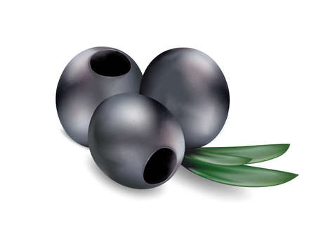 Ripe black olives with leaves on a white backgroundのイラスト素材
